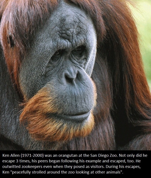 It's Time To Educate Yourself With These Interesting Facts (21 pics)