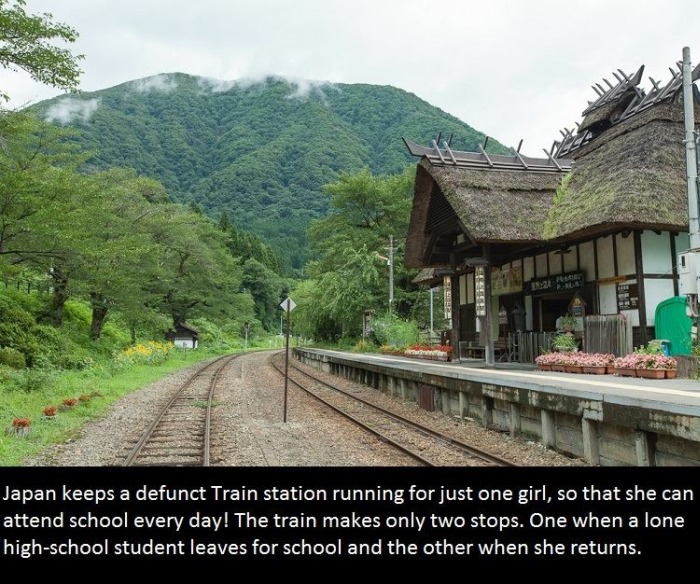 It's Time To Educate Yourself With These Interesting Facts (21 pics)