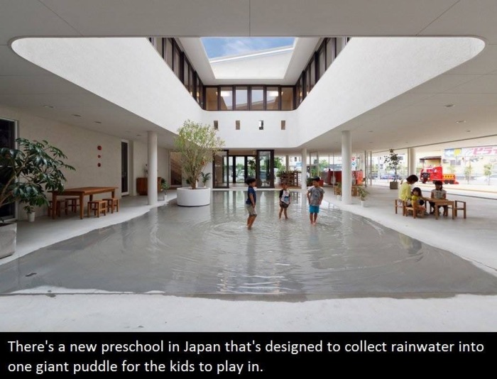 It's Time To Educate Yourself With These Interesting Facts (21 pics)
