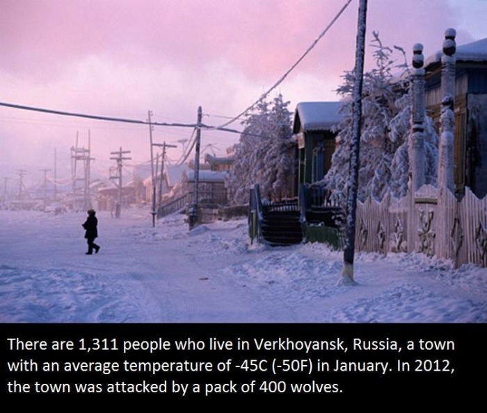 It's Time To Educate Yourself With These Interesting Facts (21 pics)