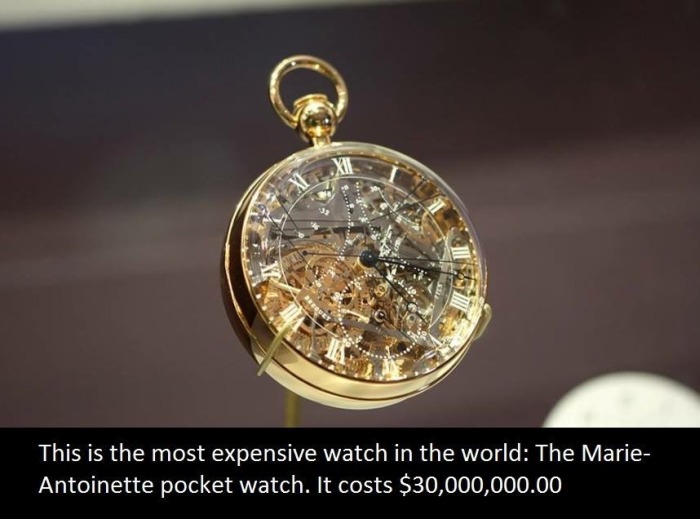 It's Time To Educate Yourself With These Interesting Facts (21 pics)