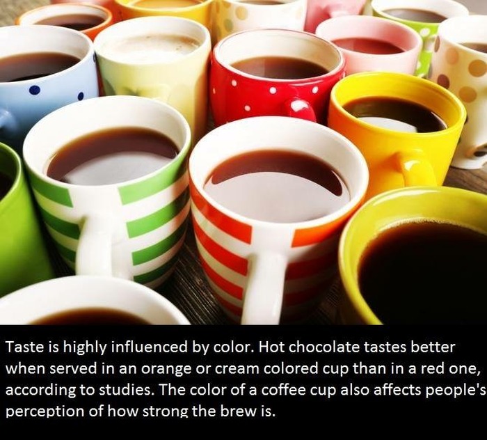 It's Time To Educate Yourself With These Interesting Facts (21 pics)