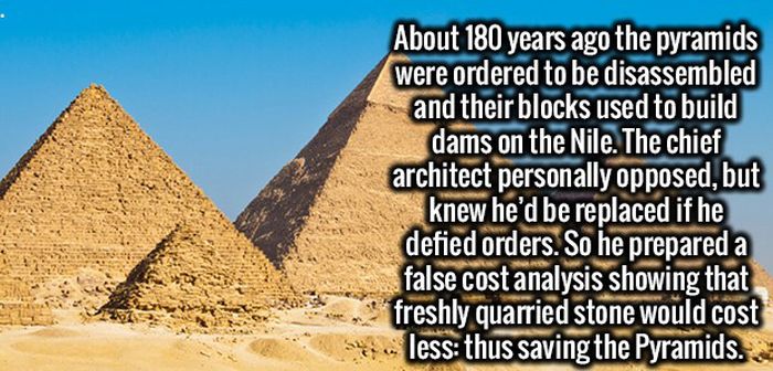 Kiss Your Mind Goodbye, It's About To Be Blown Away By These Fun Facts (22 pics)