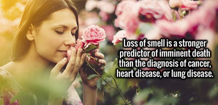Kiss Your Mind Goodbye, It's About To Be Blown Away By These Fun Facts (22 pics)