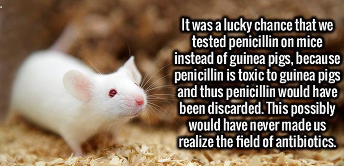 Kiss Your Mind Goodbye, It's About To Be Blown Away By These Fun Facts (22 pics)