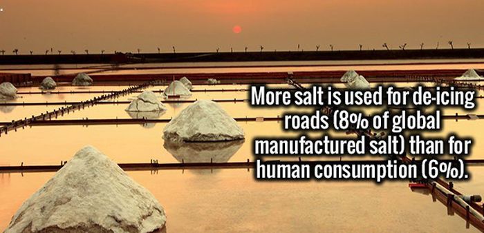 Kiss Your Mind Goodbye, It's About To Be Blown Away By These Fun Facts (22 pics)
