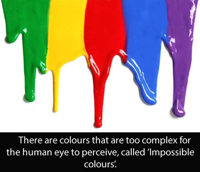 Amazing And Entertaining Facts About Eyes (17 pics)