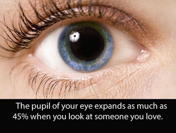 Amazing And Entertaining Facts About Eyes (17 pics)