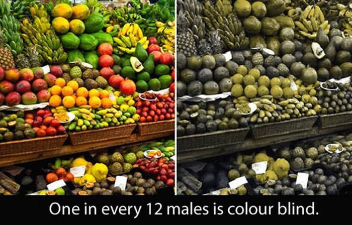 Amazing And Entertaining Facts About Eyes (17 pics)