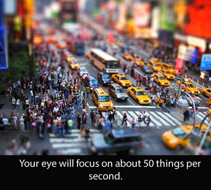 Amazing And Entertaining Facts About Eyes (17 pics)