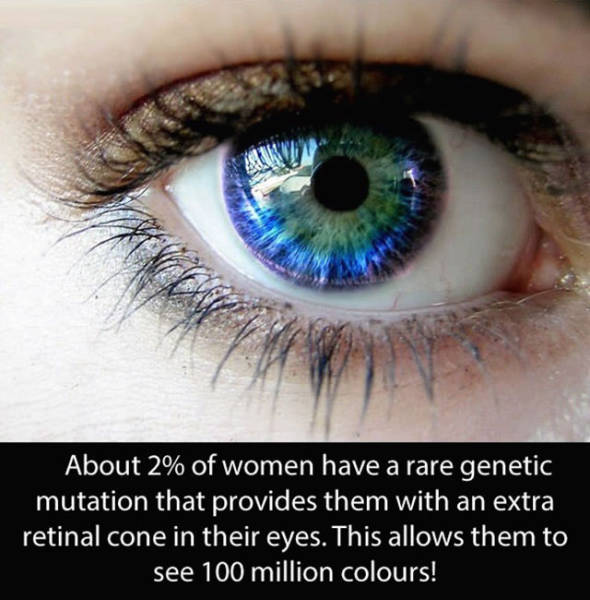 Amazing And Entertaining Facts About Eyes (17 pics)