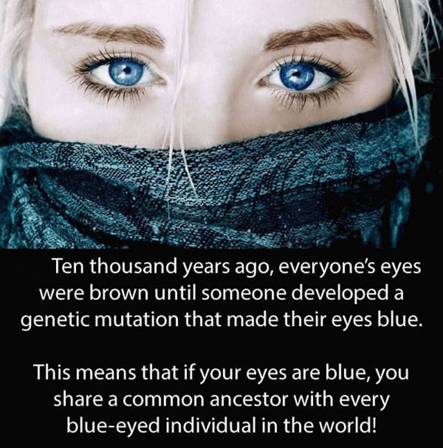 Amazing And Entertaining Facts About Eyes (17 pics)
