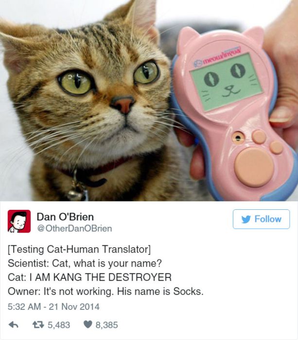 The Funniest Tweets About Cats That The Internet Has To Offer (31 pics)