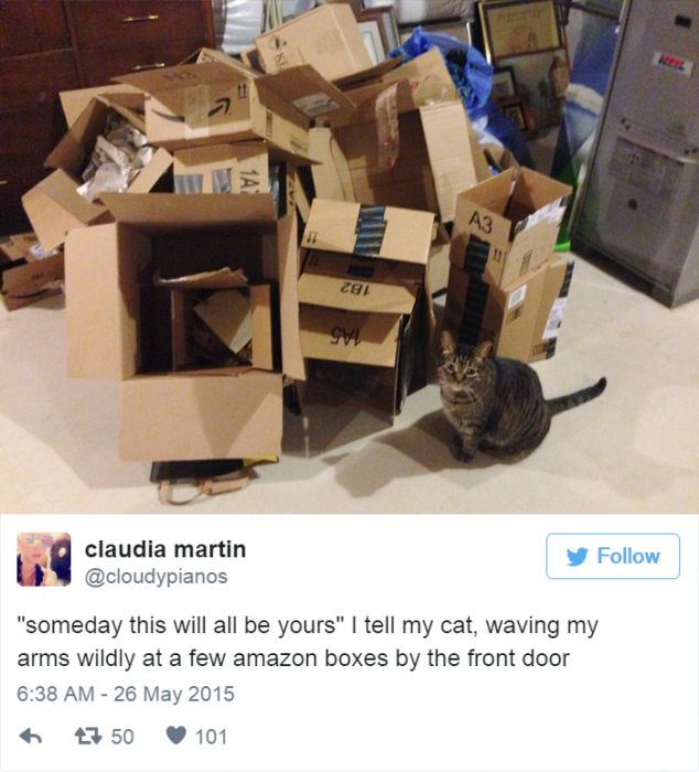 The Funniest Tweets About Cats That The Internet Has To Offer (31 pics)