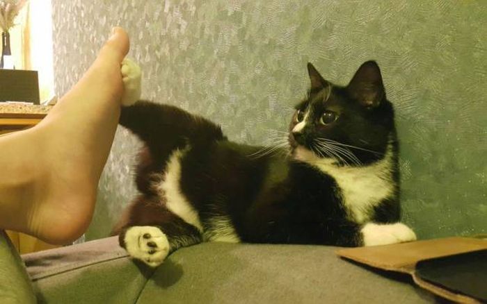 Acid Picdump (108 pics)