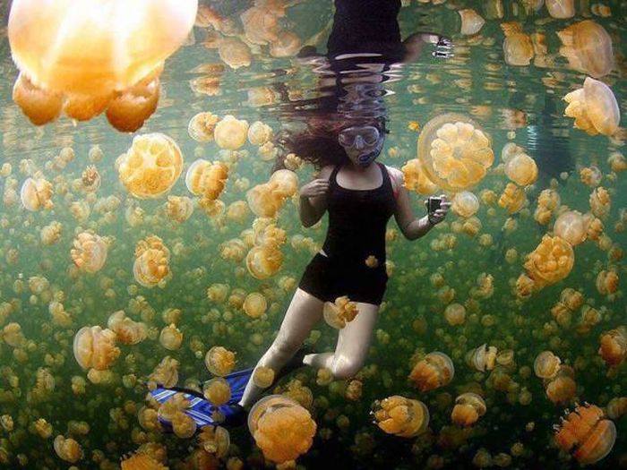 Acid Picdump (108 pics)