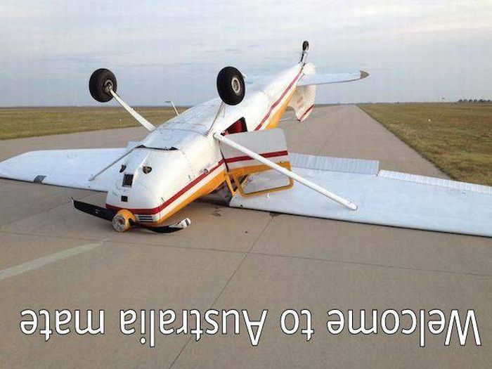 Acid Picdump (108 pics)