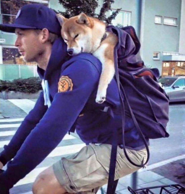 Acid Picdump (108 pics)
