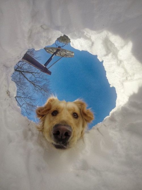 Acid Picdump (108 pics)