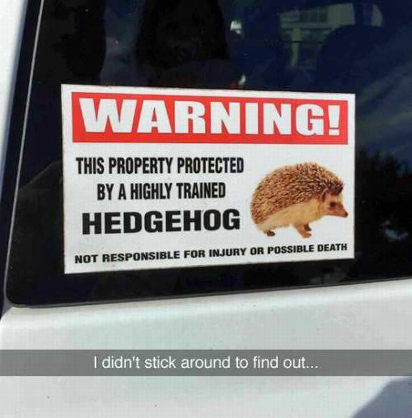 Acid Picdump (108 pics)