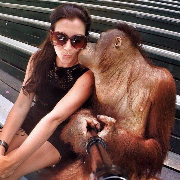 Acid Picdump (108 pics)