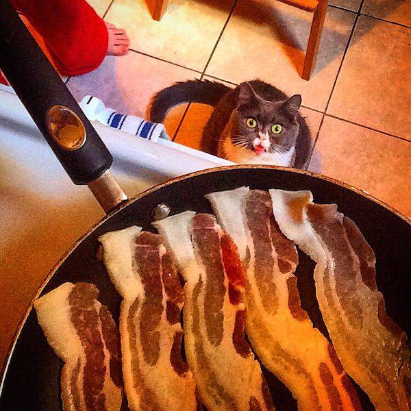 Acid Picdump (108 pics)
