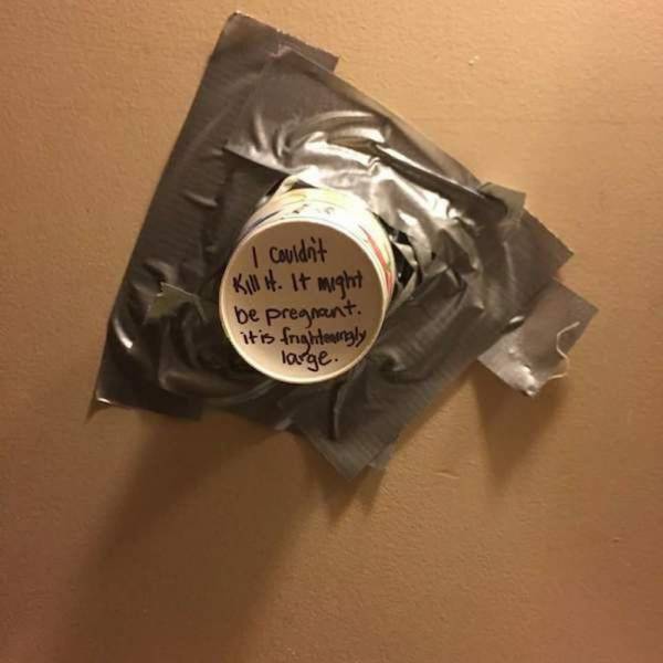 Acid Picdump (108 pics)