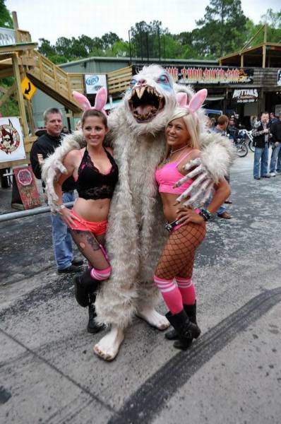 Acid Picdump (108 pics)