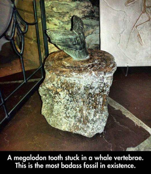 Acid Picdump (108 pics)