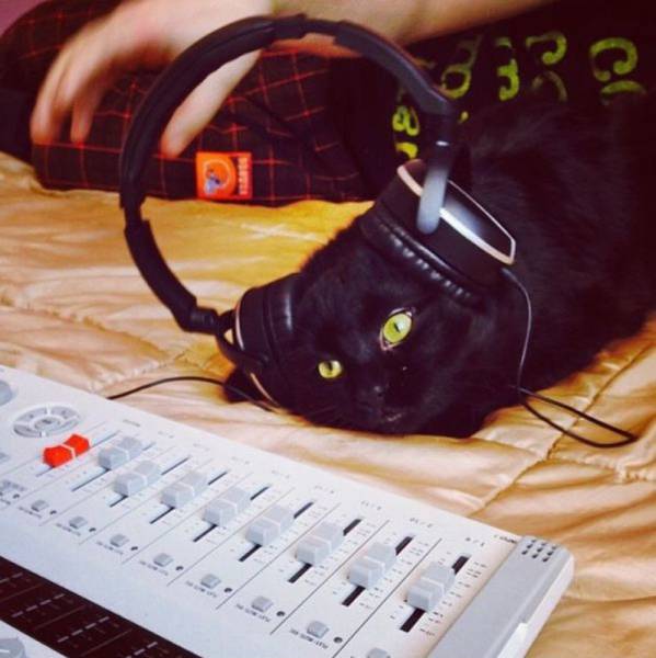 Acid Picdump (108 pics)