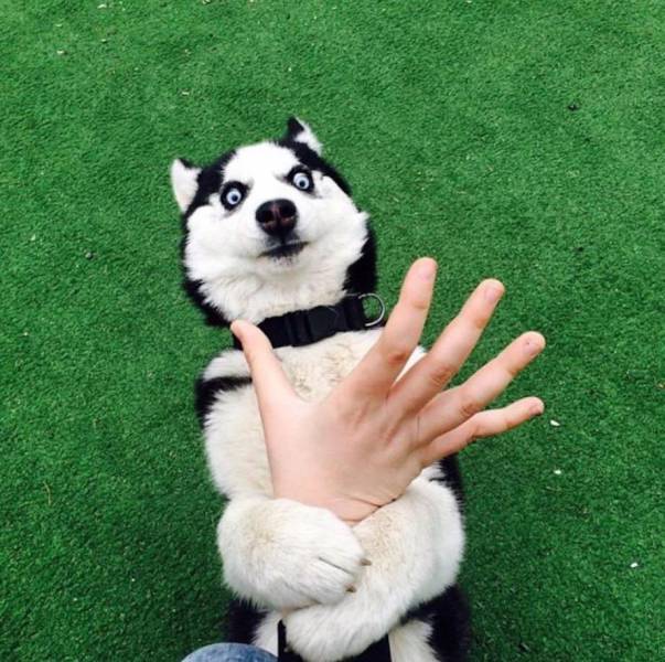 Acid Picdump (108 pics)