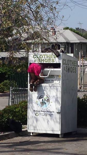 Acid Picdump (108 pics)