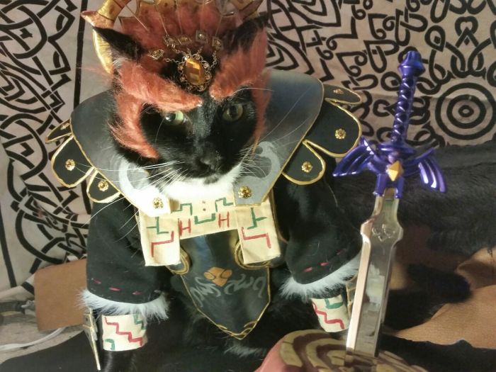 Cats in Cosplay Is The Cutest Thing Ever (14 pics)