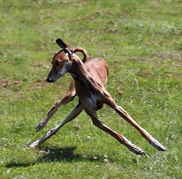You're Going To Have To Do A Double Take When You See These Photos (59 pics)