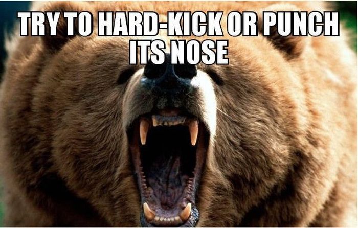 13 Combat Tips To Help You Survive In The Wild (13 pics)