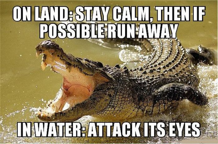 13 Combat Tips To Help You Survive In The Wild (13 pics)