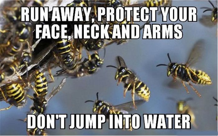 13 Combat Tips To Help You Survive In The Wild (13 pics)