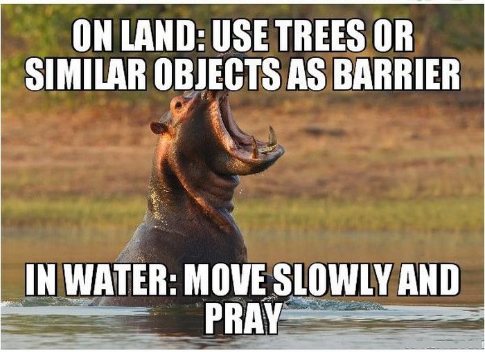 13 Combat Tips To Help You Survive In The Wild (13 pics)