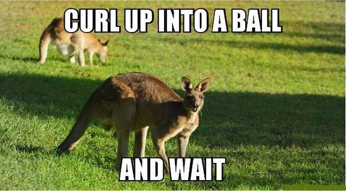 13 Combat Tips To Help You Survive In The Wild (13 pics)