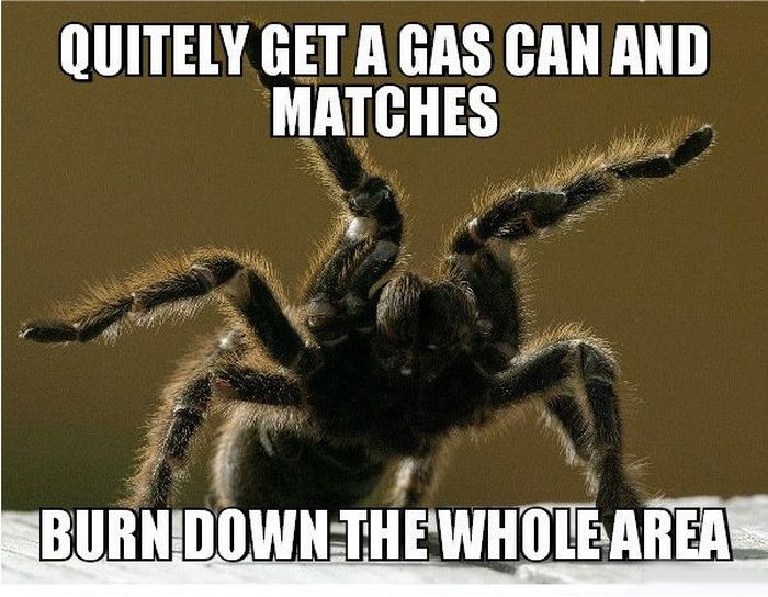 13 Combat Tips To Help You Survive In The Wild (13 pics)