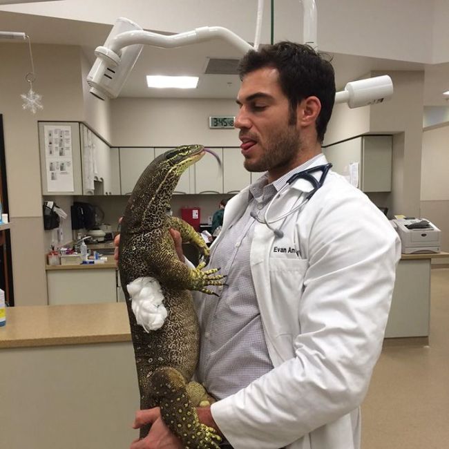 Women Everywhere Are Going Crazy Over This Veterinarian (33 pics)