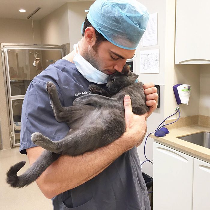 Women Everywhere Are Going Crazy Over This Veterinarian (33 pics)