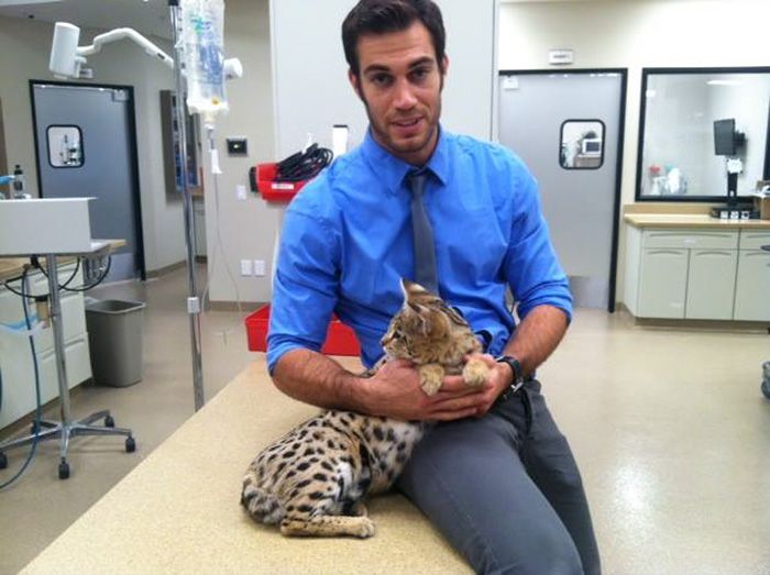 Women Everywhere Are Going Crazy Over This Veterinarian (33 pics)