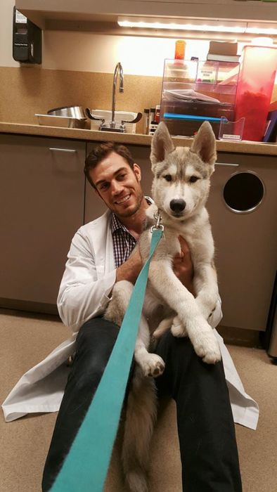 Women Everywhere Are Going Crazy Over This Veterinarian (33 pics)