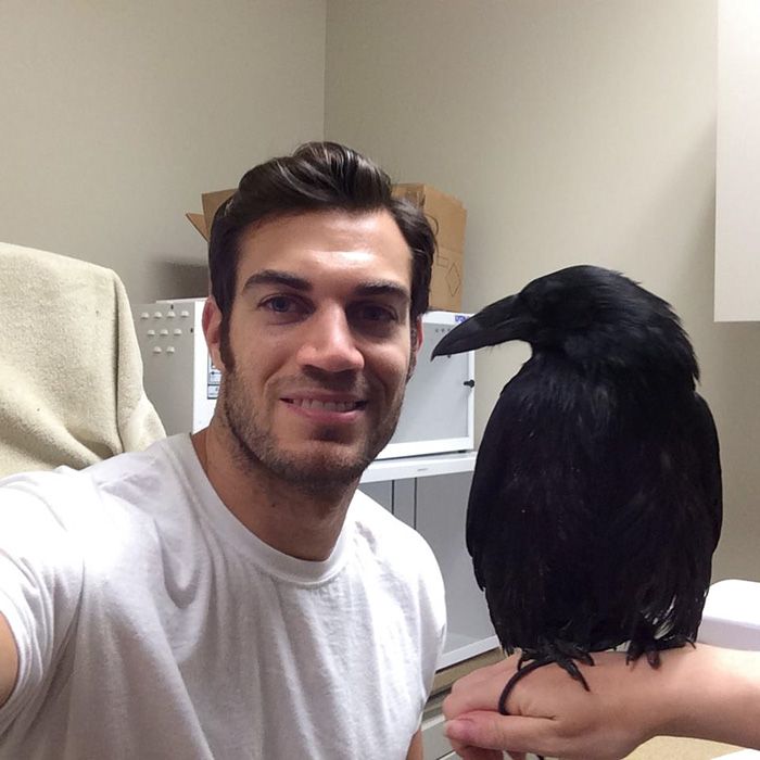 Women Everywhere Are Going Crazy Over This Veterinarian (33 pics)