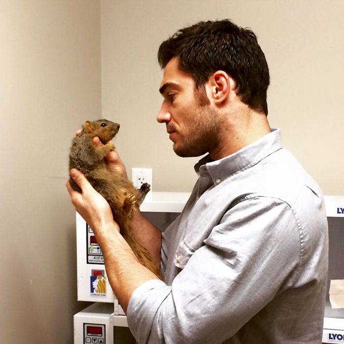 Women Everywhere Are Going Crazy Over This Veterinarian (33 pics)