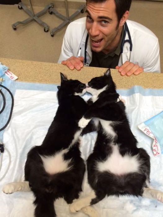 Women Everywhere Are Going Crazy Over This Veterinarian (33 pics)