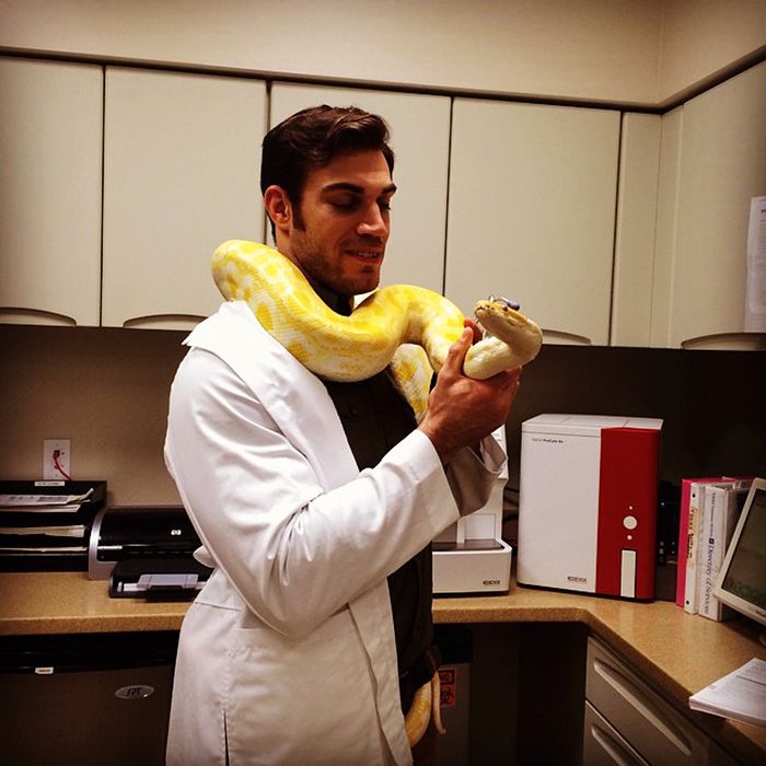 Women Everywhere Are Going Crazy Over This Veterinarian (33 pics)