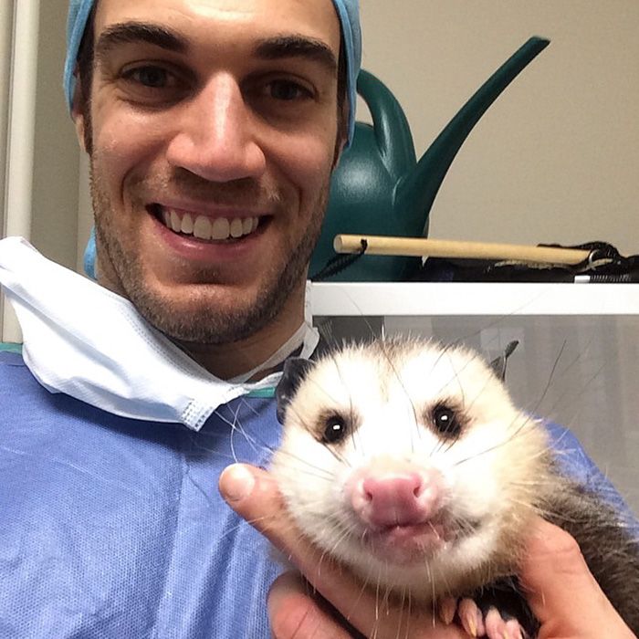 Women Everywhere Are Going Crazy Over This Veterinarian (33 pics)