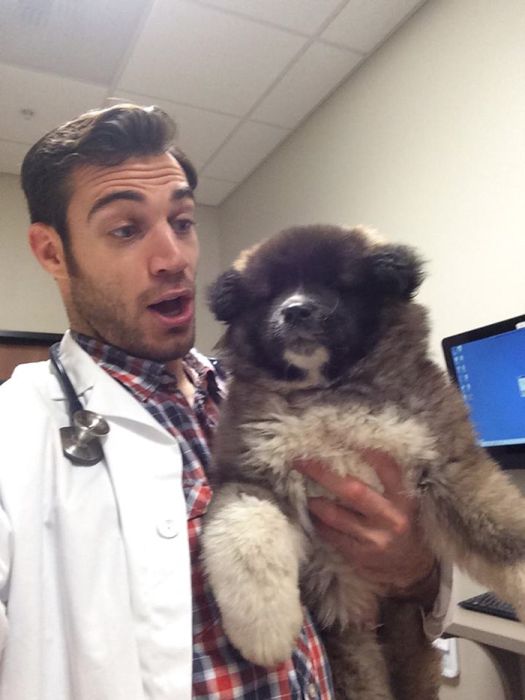 Women Everywhere Are Going Crazy Over This Veterinarian (33 pics)